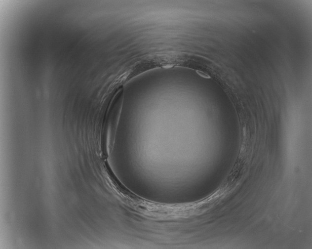 X0000057580048200509191502