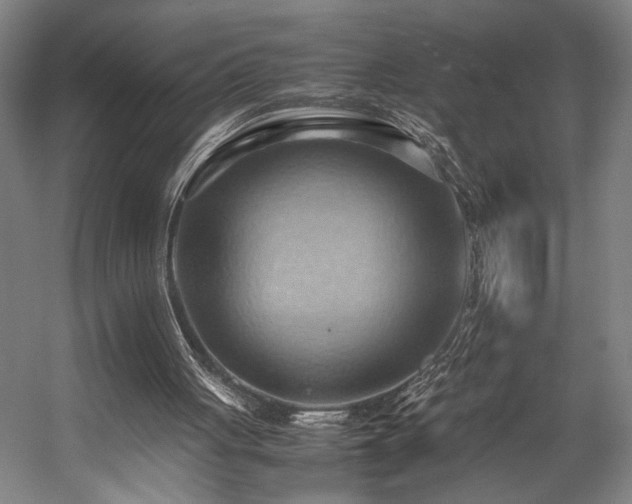 X0000057580051200509191501