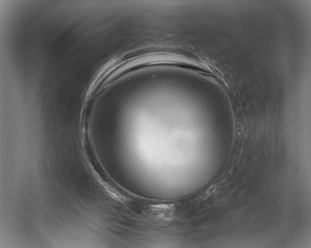 X0000057580053200509191501