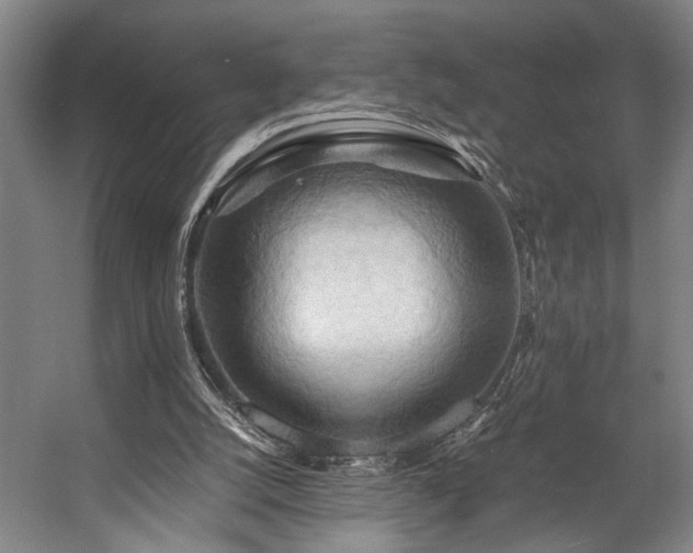 X0000057580056200509191501