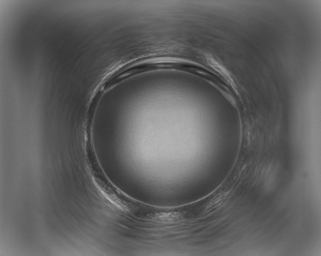 X0000057580059200509191501