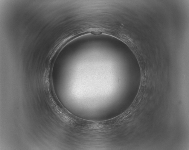 X0000057580098200509191501