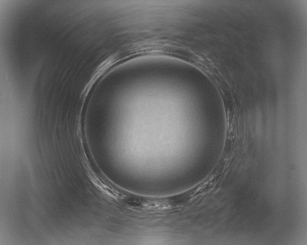 X0000057580099200509191501