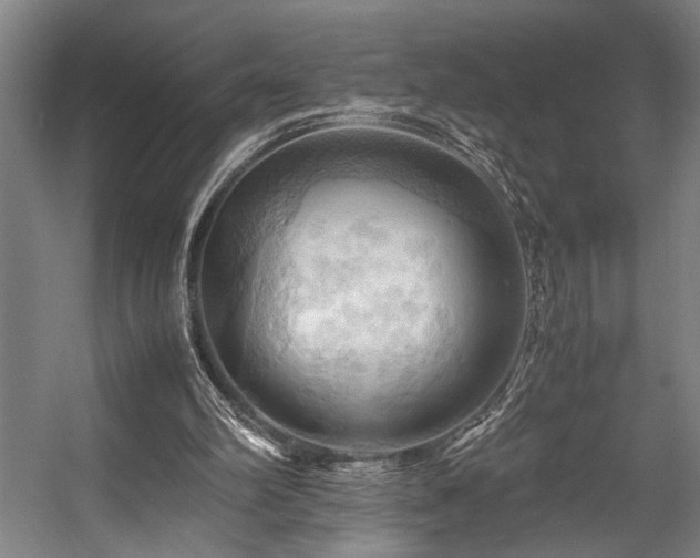 X0000057580102200509191501