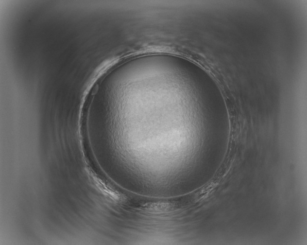 X0000057580104200509191501