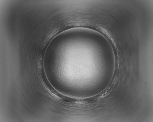 X0000057580105200509191501