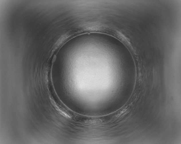 X0000057580106200509191501