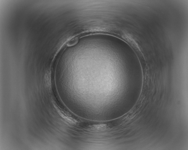 X0000057580108200509191501