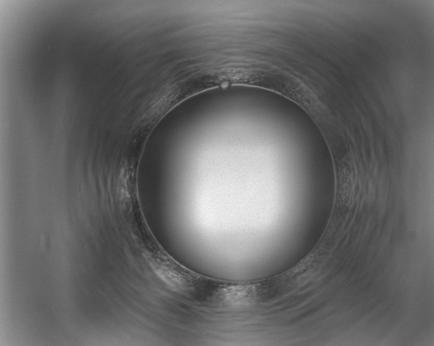 X0000057580126200509191501