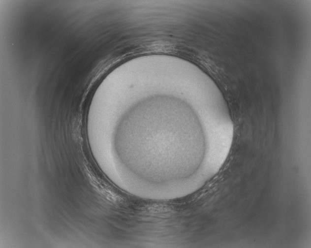 X0000057580146200509191459