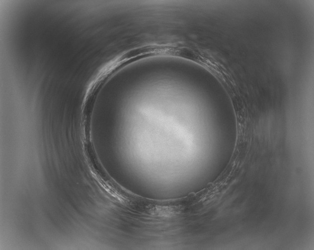 X0000057580149200509191500