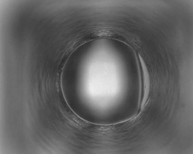 X0000057580175200509191500