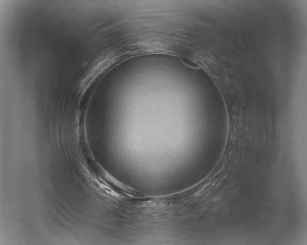 X0000057580194200509191459