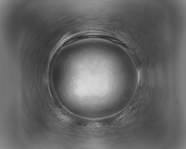 X0000057580195200509191459