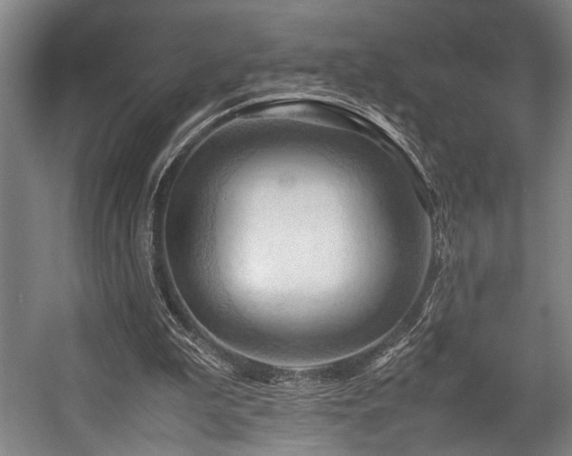 X0000057580199200509191459
