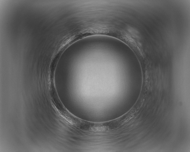 X0000057580202200509191459