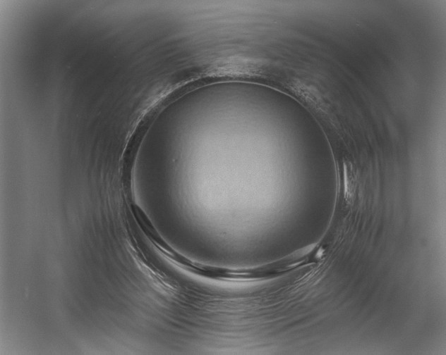 X0000057580204200509191459