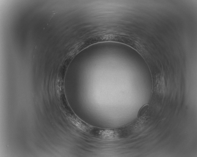 X0000057580230200509191459