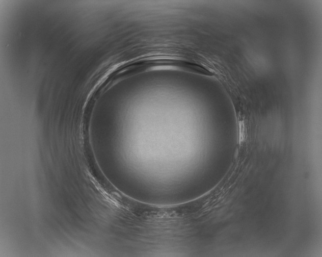 X0000057580243200509191458