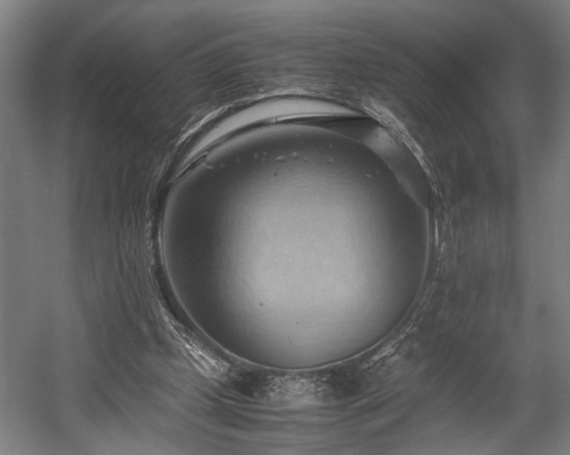 X0000057580249200509191458