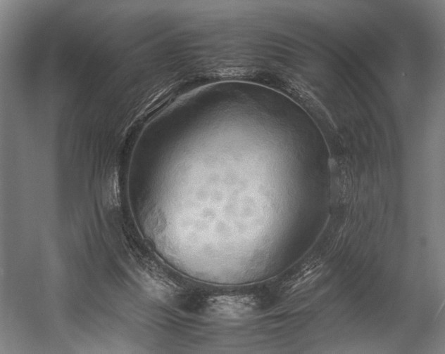 X0000057580251200509191458