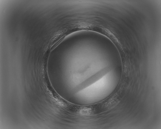 X0000057580257200509191458