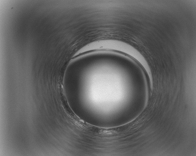 X0000057580277200509191458