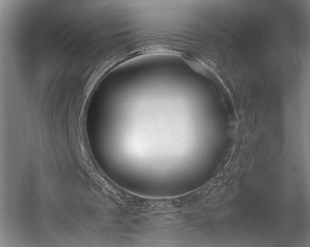 X0000057580289200509191458