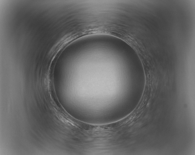 X0000057580290200509191458