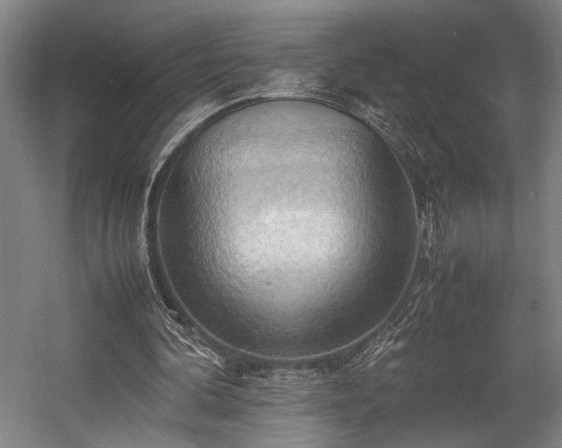 X0000057580292200509191458