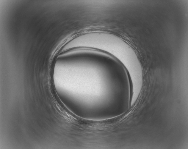 X0000057580293200509191458