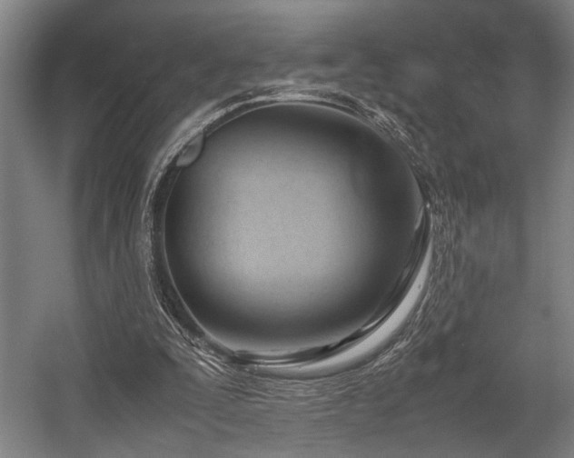 X0000057580295200509191458