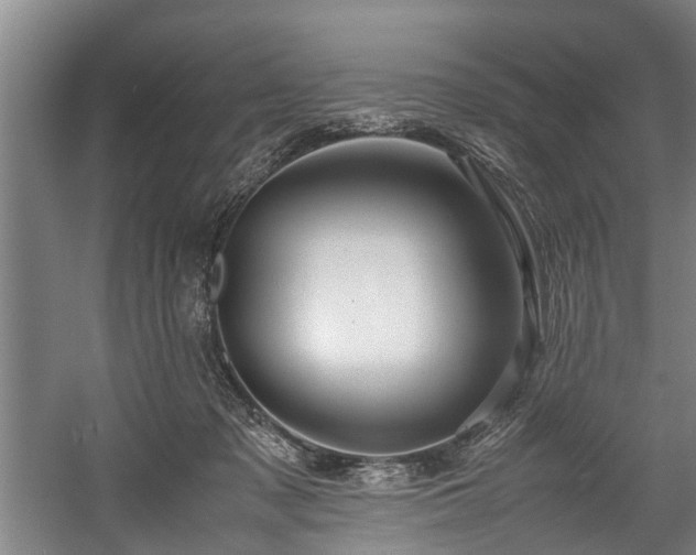 X0000057580317200509191457