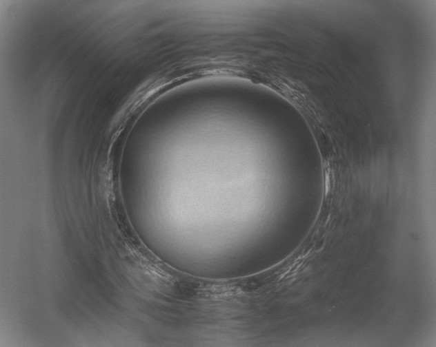 X0000057580339200509191456