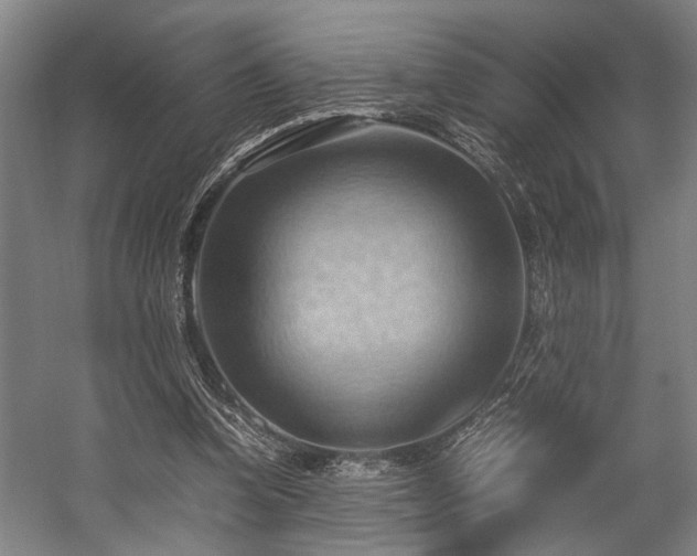 X0000057580346200509191456