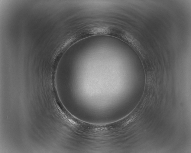 X0000057580353200509191456