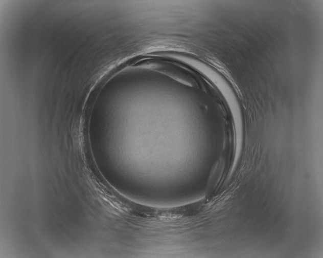 X0000057580387200509191456
