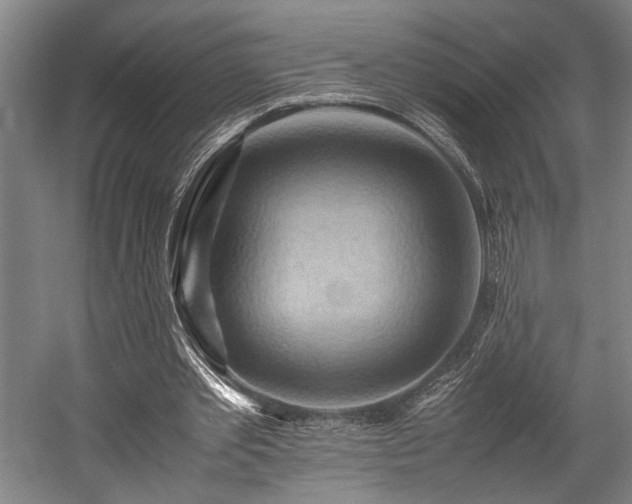 X0000057580389200509191456