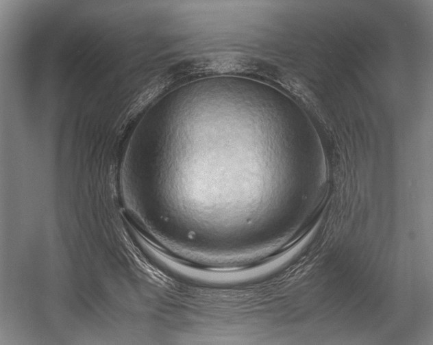X0000057580393200509191456