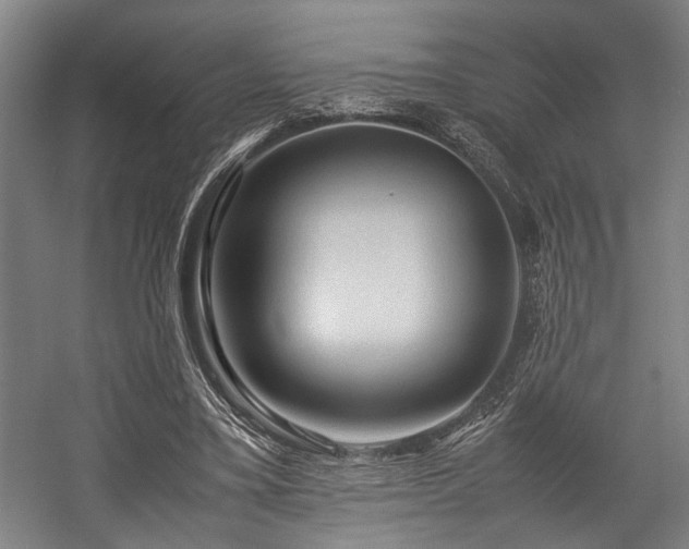X0000057580395200509191456