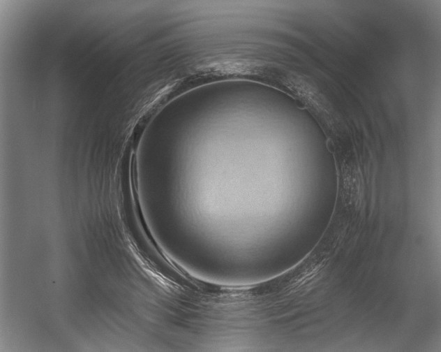 X0000057580398200509191456
