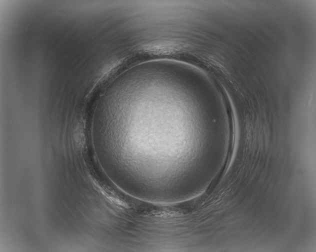 X0000057580400200509191456