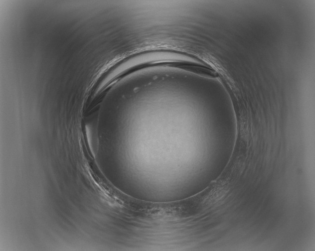 X0000057580434200509191455