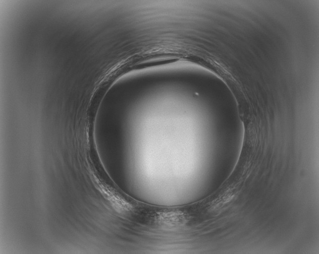 X0000057580446200509191455