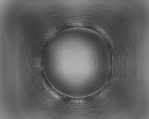 X0000057580449200509191455