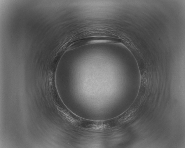 X0000057580458200509191455