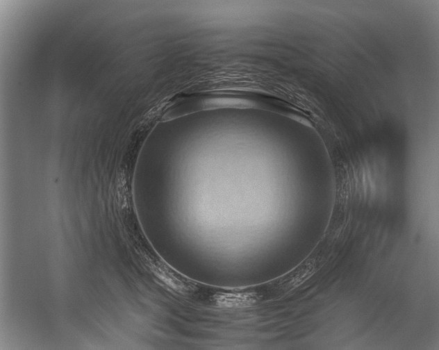 X0000057580465200509191455