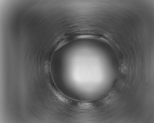X0000057580476200509191455