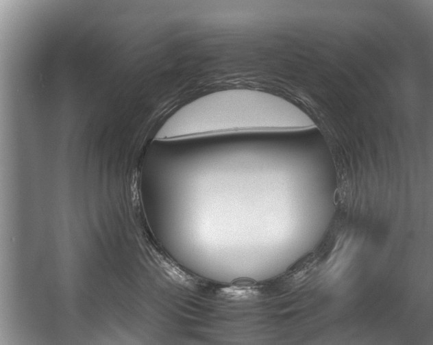 X0000057580477200509191455