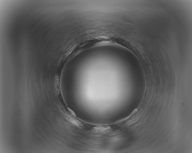 X0000057580480200509191455